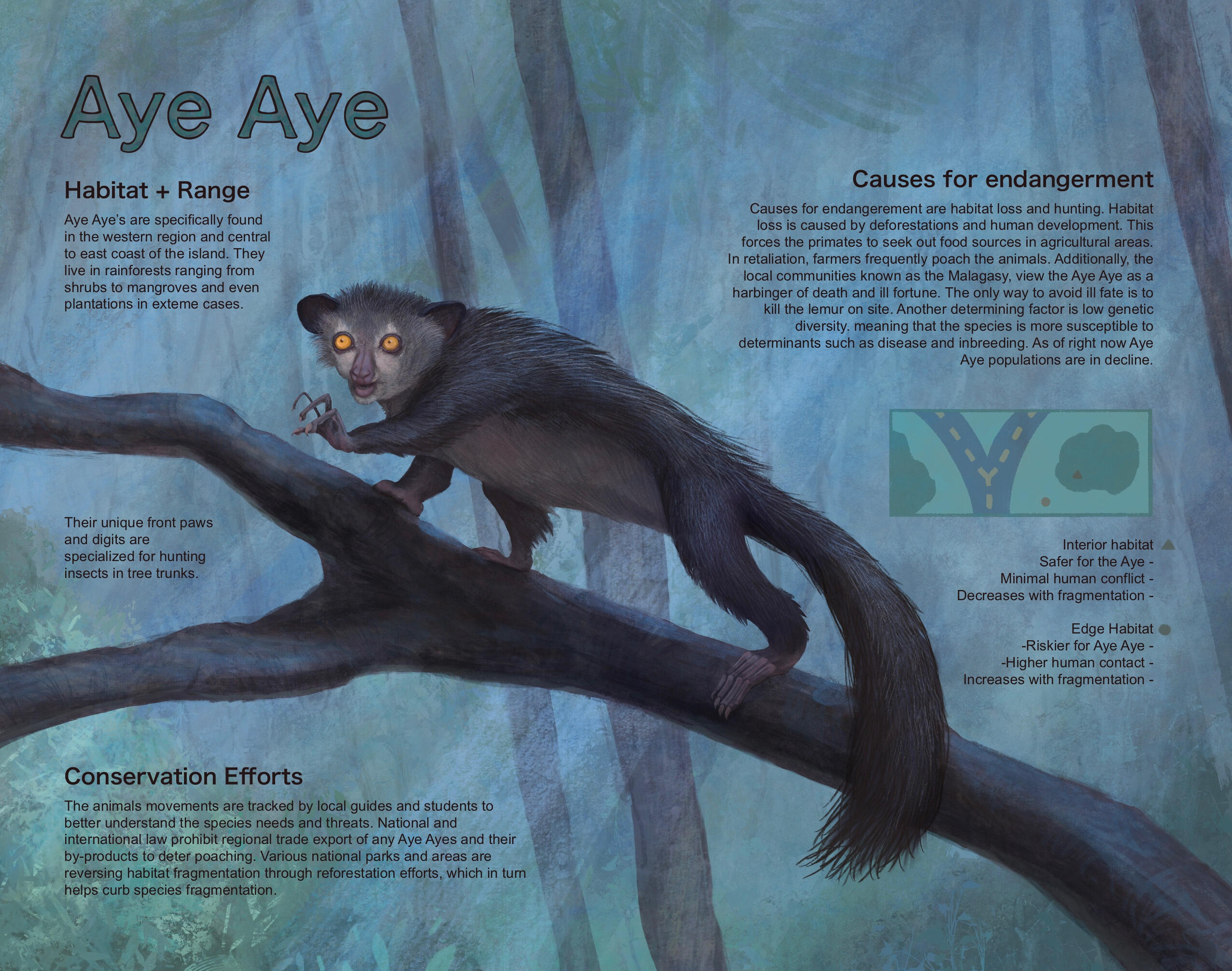 “Hideously Endangered” Endangered animals that are unconventionally attractive are often overlooked and get poor conservation funding as a result. The point of this project is to show to the general public that “hideous” animals deserve help too.