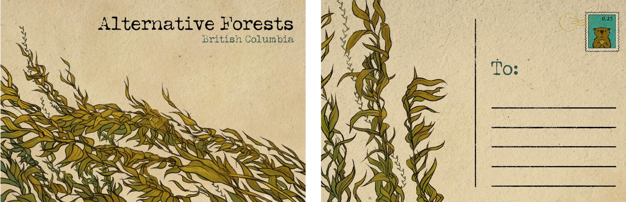 “Alternative forests postcards” This project is meant to be an advocacy campaign that challenges the viewer of what a forest is and how it can look like. The end goal is to create awareness about these diverse often “at risk” biomes