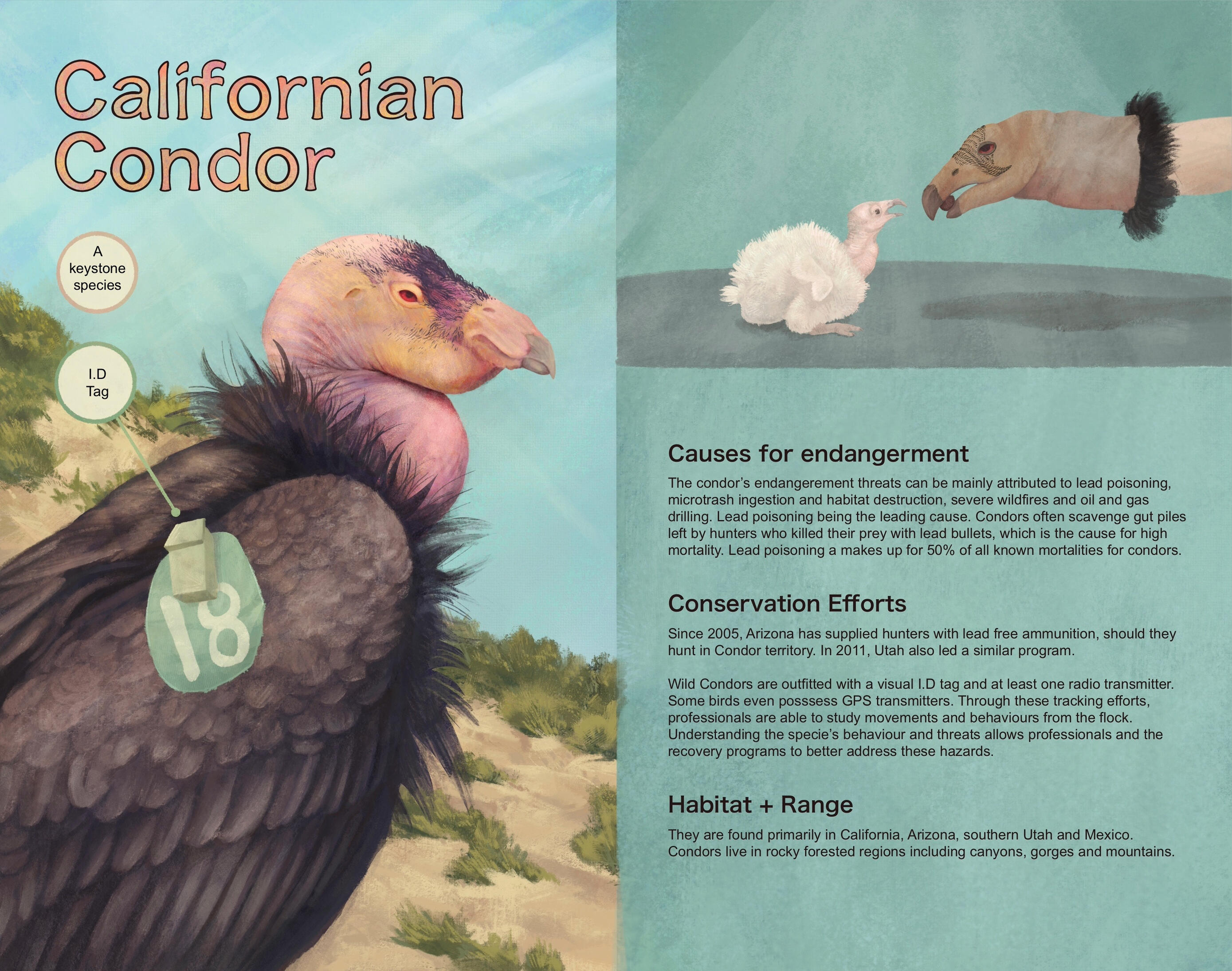 “Hideously Endangered”