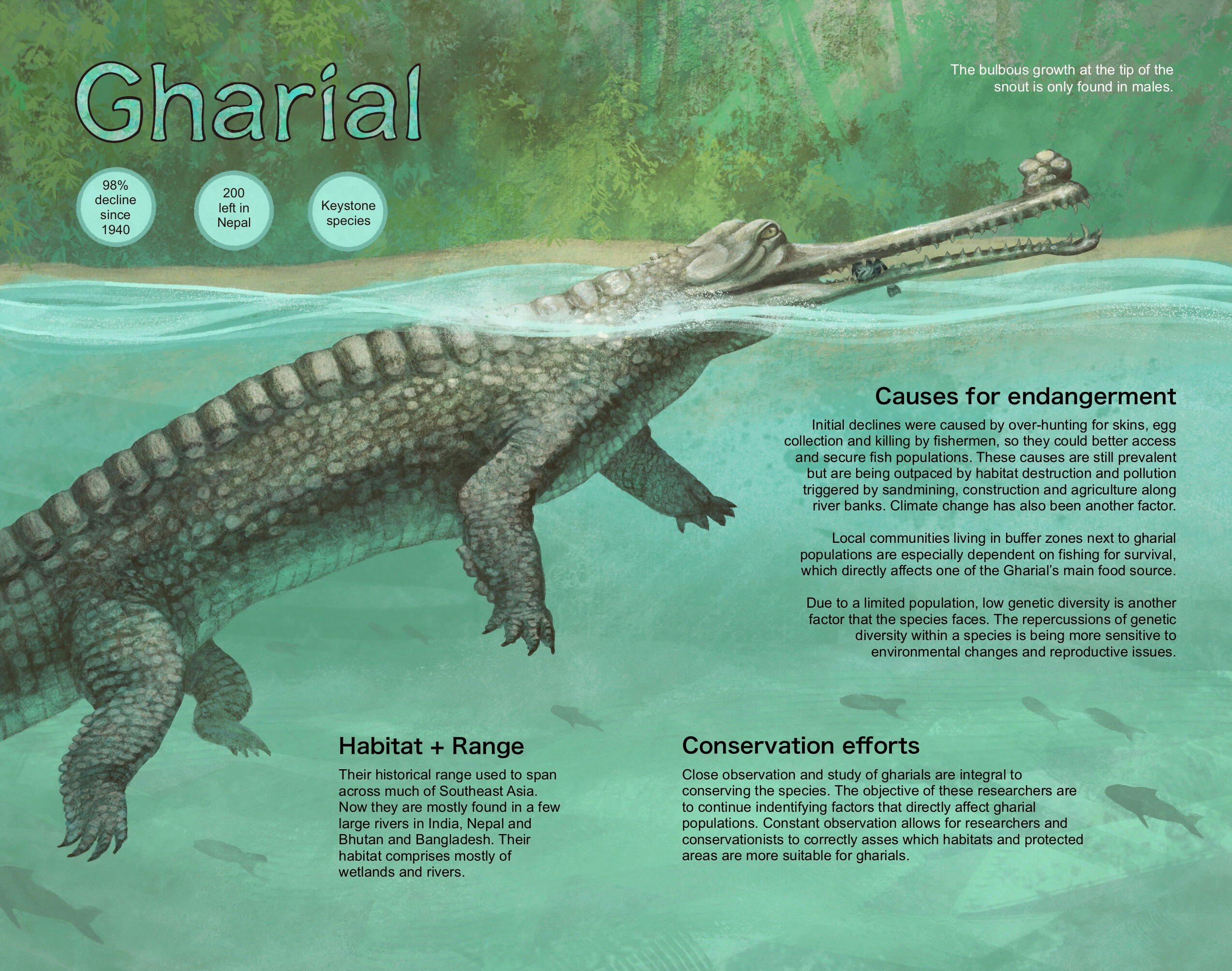 “Hideously Endangered”