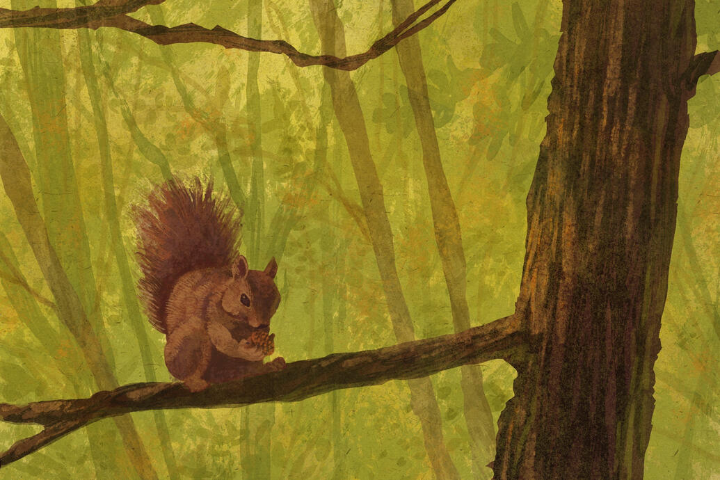“Narrative Postcard”
