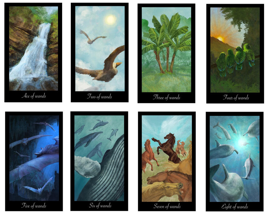 “The Suit of Wands” The first 8 cards of the suit of wands from Tarot. Each card is represented by fauna and flora from Puerto Rico.